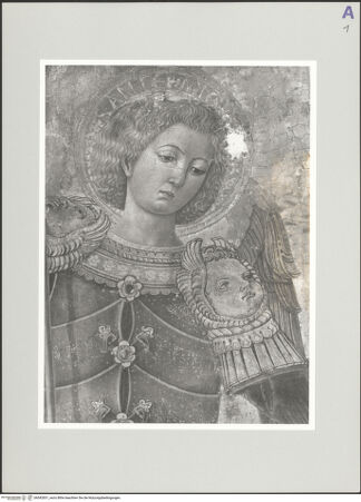 Vorderseite von bh542831_recto