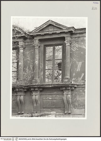 Vorderseite von bh542903_recto