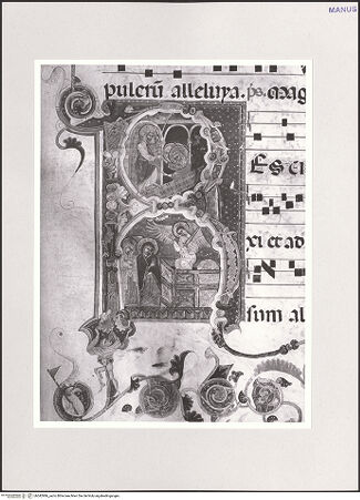 Vorderseite von bh542986_recto