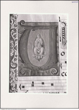 Vorderseite von bh542989_recto