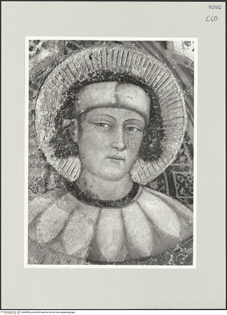 Vorderseite von bh543006_recto