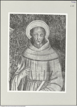 Vorderseite von bh543018_recto