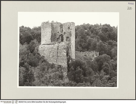 Vorderseite von bh543164_recto