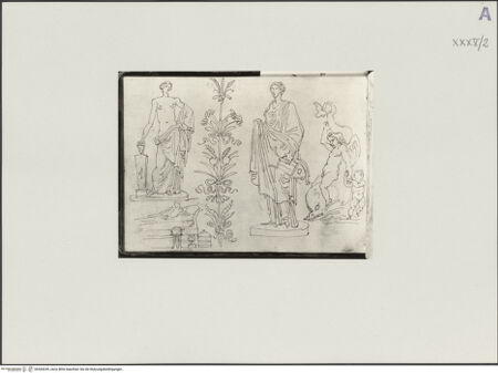 Vorderseite von bh544249_recto