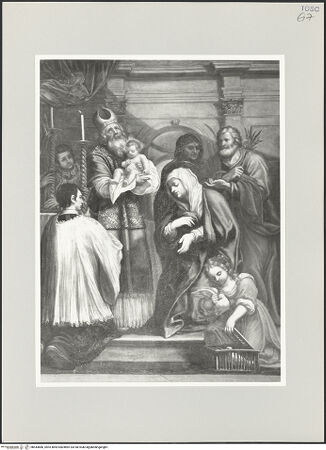 Vorderseite von bh544886_recto