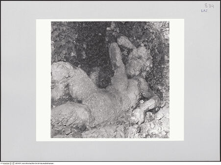 Vorderseite von bh544941_recto