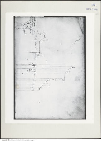 Vorderseite von bh545106_recto