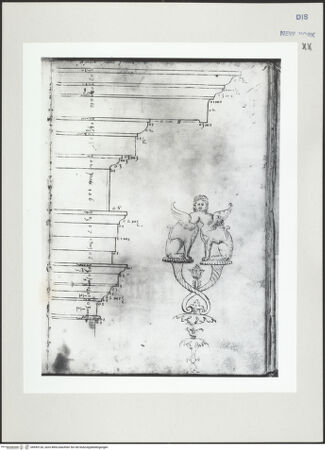 Vorderseite von bh545126_recto