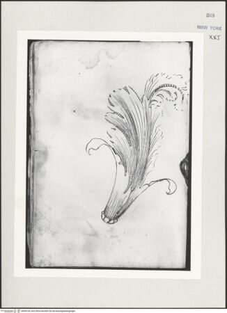 Vorderseite von bh545134_recto