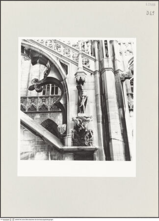 Vorderseite von bh545194_recto