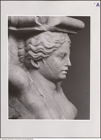 Vorderseite von bh545981_recto