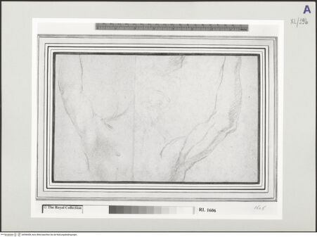 Vorderseite von bh546408_recto