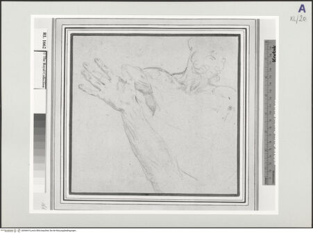 Vorderseite von bh546419_recto