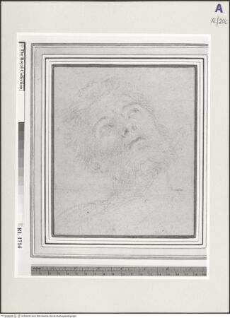 Vorderseite von bh546420_recto