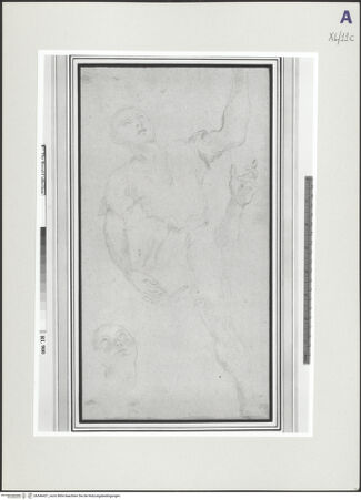 Vorderseite von bh546421_recto