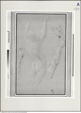 Vorderseite von bh546422_recto