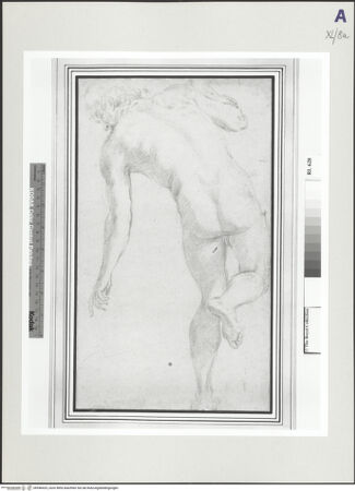 Vorderseite von bh546425_recto