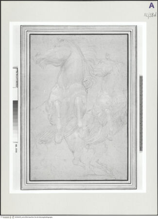 Vorderseite von bh546435_recto