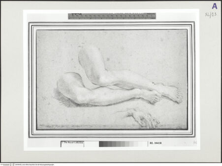 Vorderseite von bh546442_recto