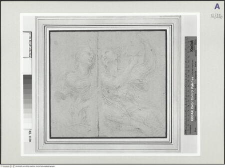 Vorderseite von bh546462_recto