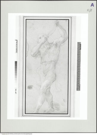 Vorderseite von bh546468_recto