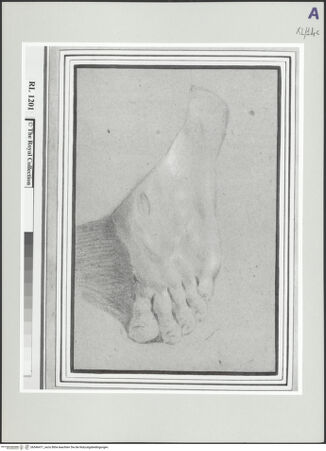 Vorderseite von bh546471_recto