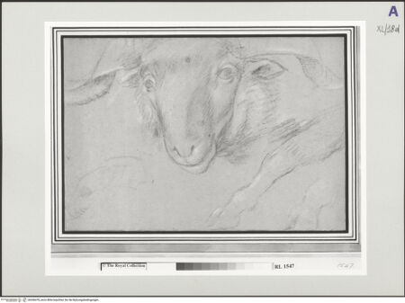 Vorderseite von bh546476_recto