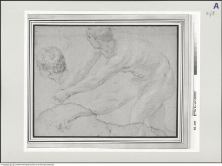 Vorderseite von bh546477_recto