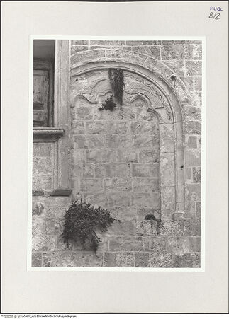 Vorderseite von bh546514_recto