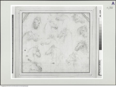 Vorderseite von bh546748_recto