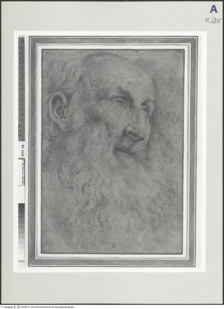 Vorderseite von bh546751_recto