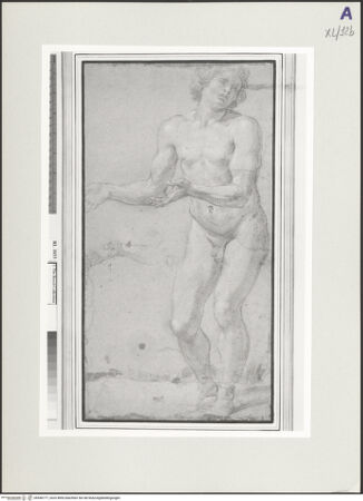 Vorderseite von bh546777_recto