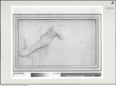 Vorderseite von bh546779_recto