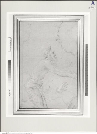 Vorderseite von bh546783_recto