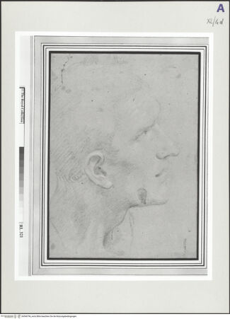 Vorderseite von bh546796_recto