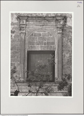 Vorderseite von bh547443_recto