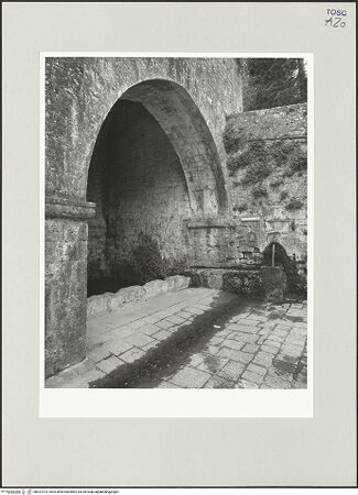 Vorderseite von bh547474_recto