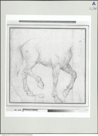 Vorderseite von bh547728_recto