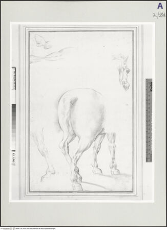 Vorderseite von bh547729_recto