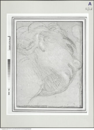 Vorderseite von bh547732_recto