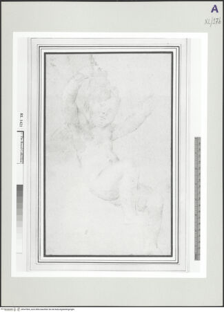 Vorderseite von bh547804_recto