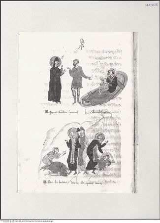 Vorderseite von bh547886_recto