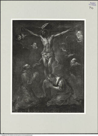 Vorderseite von bh548250_recto