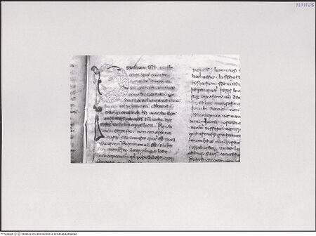 Vorderseite von bh548433_recto