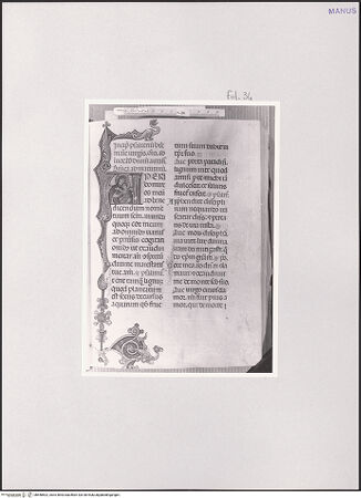 Vorderseite von bh548502_recto