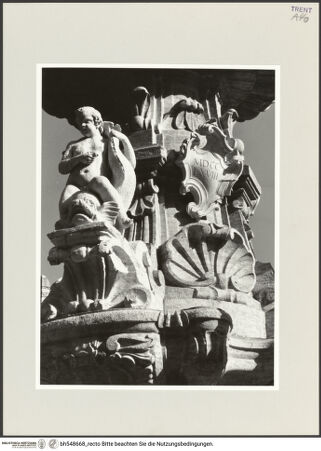 Vorderseite von bh548668_recto