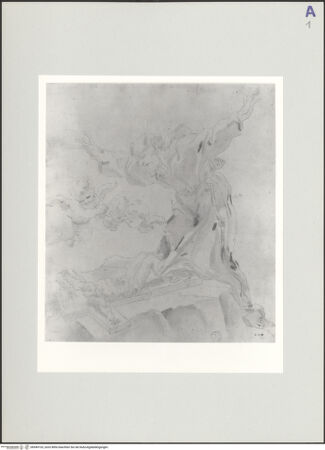 Vorderseite von bh549103_recto