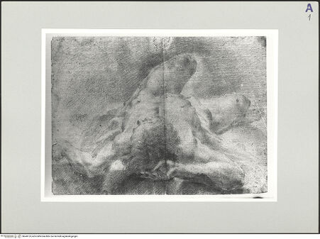 Vorderseite von Sopr. BAS NA [https://www.deutsche-digitale-bibliothek.de/content/lizenzen/rv-ez/] Liegender männlicher Akt - , bh549123_recto. Foto.