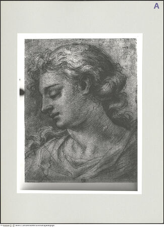 Vorderseite von bh549127_recto