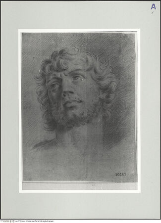 Vorderseite von bh549128_recto